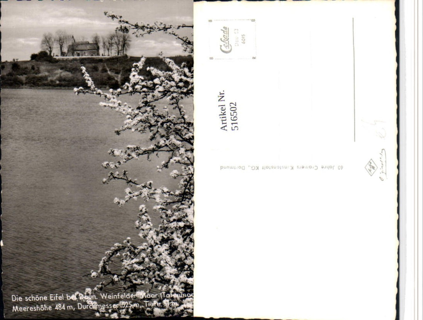 516502,Weinfelder Maar Totenmaar b. Daun in d. Eifel