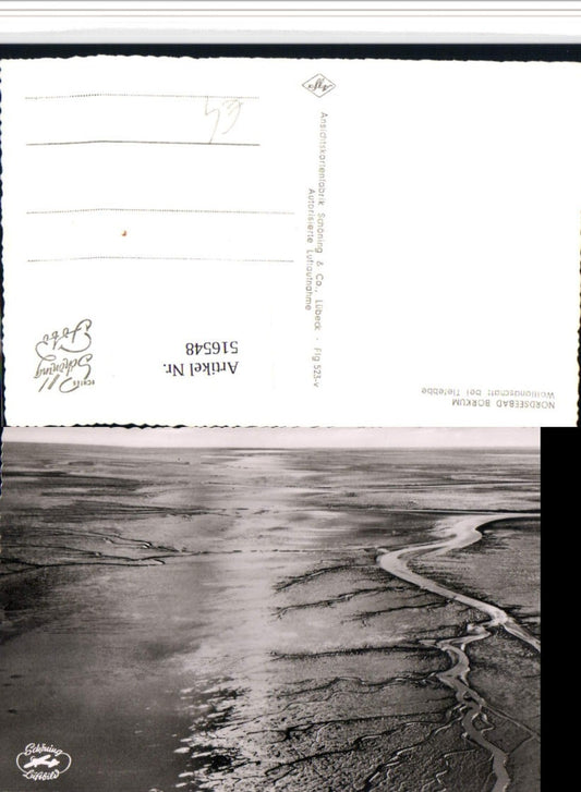 516548,Nordseebad Borkum Wattlandschaft bei Tiefebbe Fliegeraufnahme