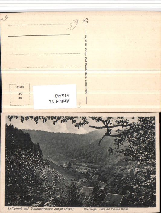 516743,Zorge im Harz Oberzorge Blick auf Pension Busse