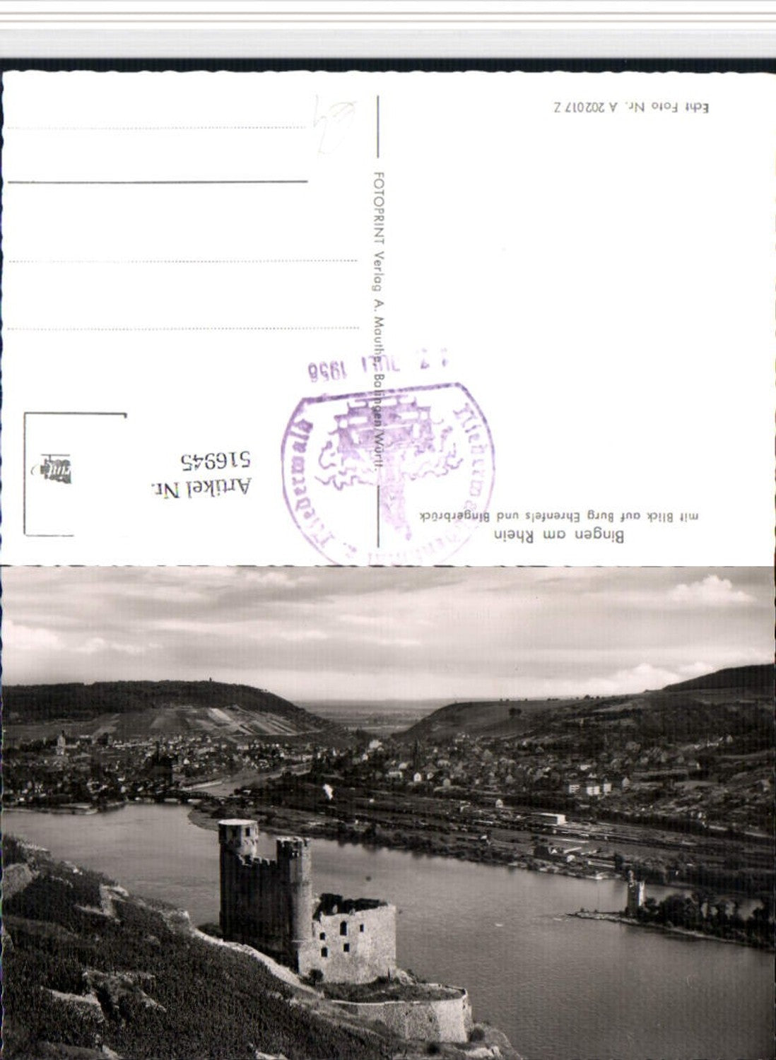 516945,Bingen am Rhein Totale m. Burg Ruine Ehrenfels