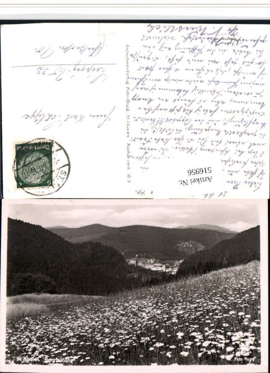 516956, St. Blasien in the Black Forest, partial view of a mountain spring meadow with wildflowers