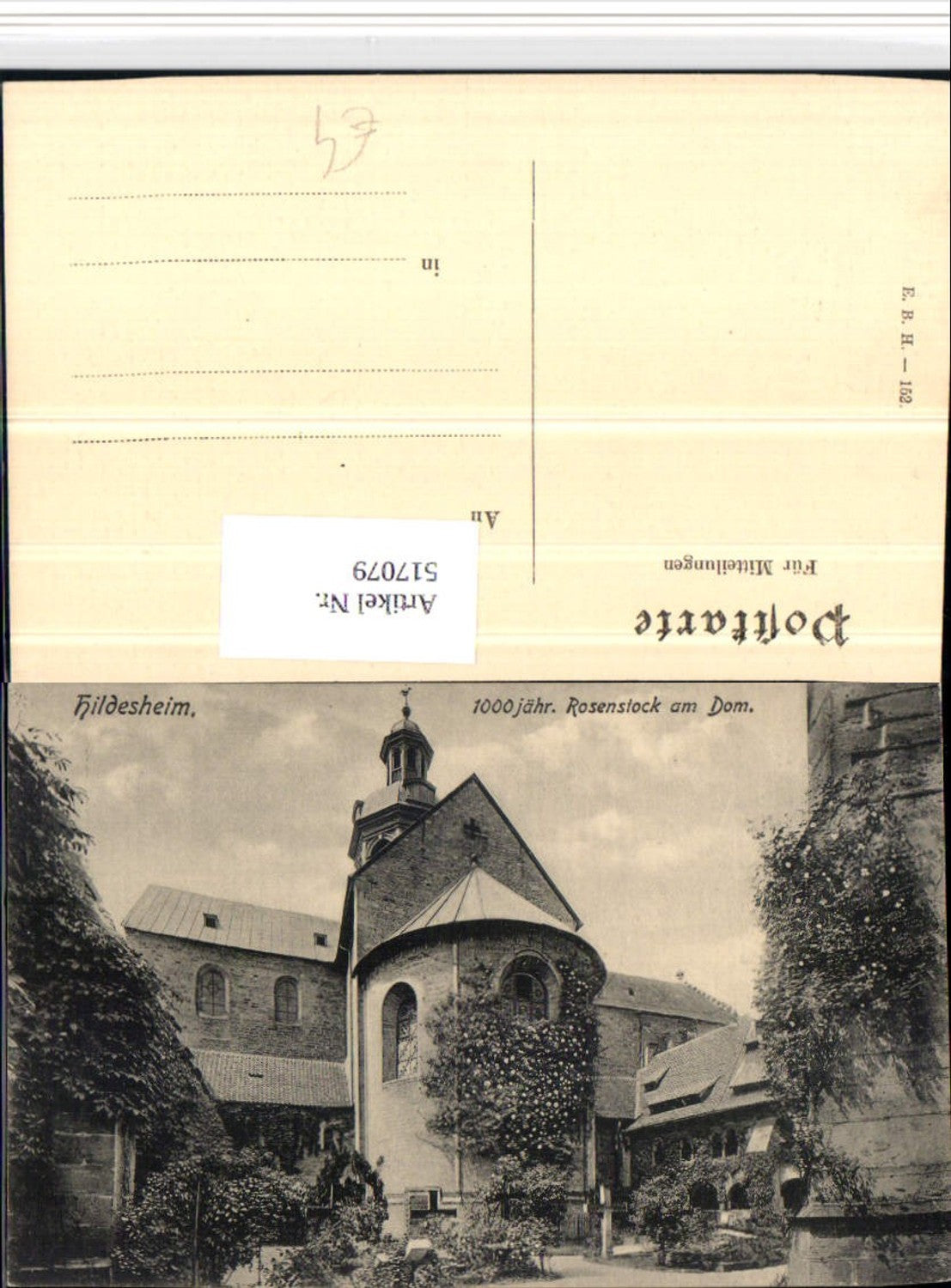 517079,Hildesheim 1000-jähriger Rosenstock am Dom