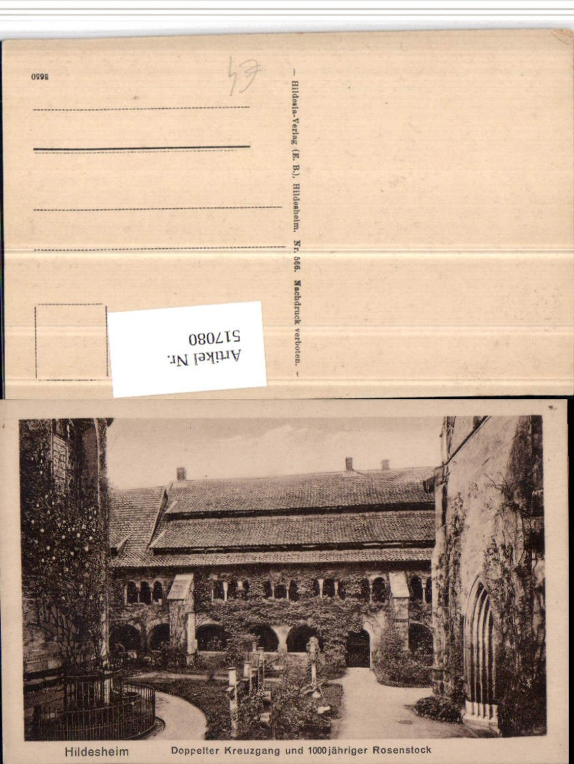 517080,Hildesheim Doppelter Kreuzgang u. 1000-jähriger Rosenstock