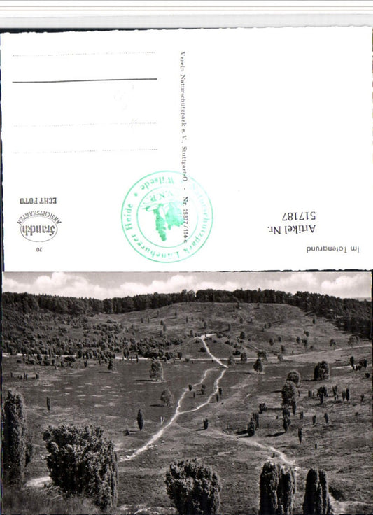 517187,Totengrund b. Wilsede Bispingen Landschaft