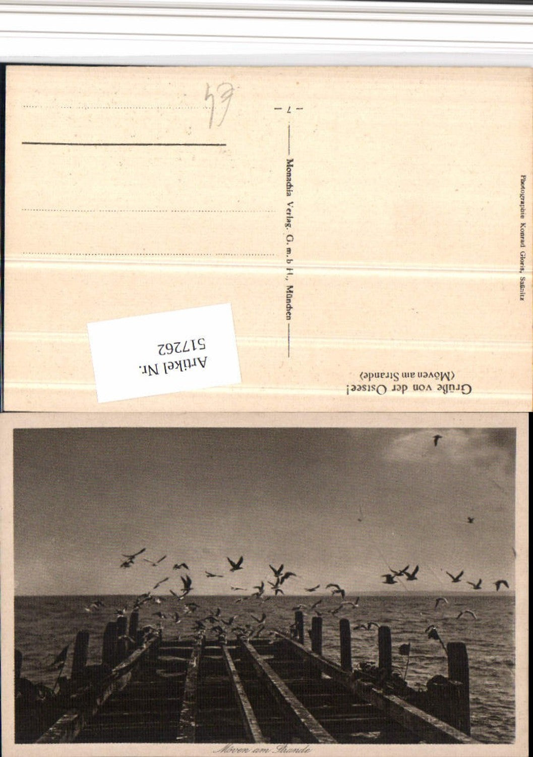 517262,Ostsee Sassnitz Möwen am Strande Steg