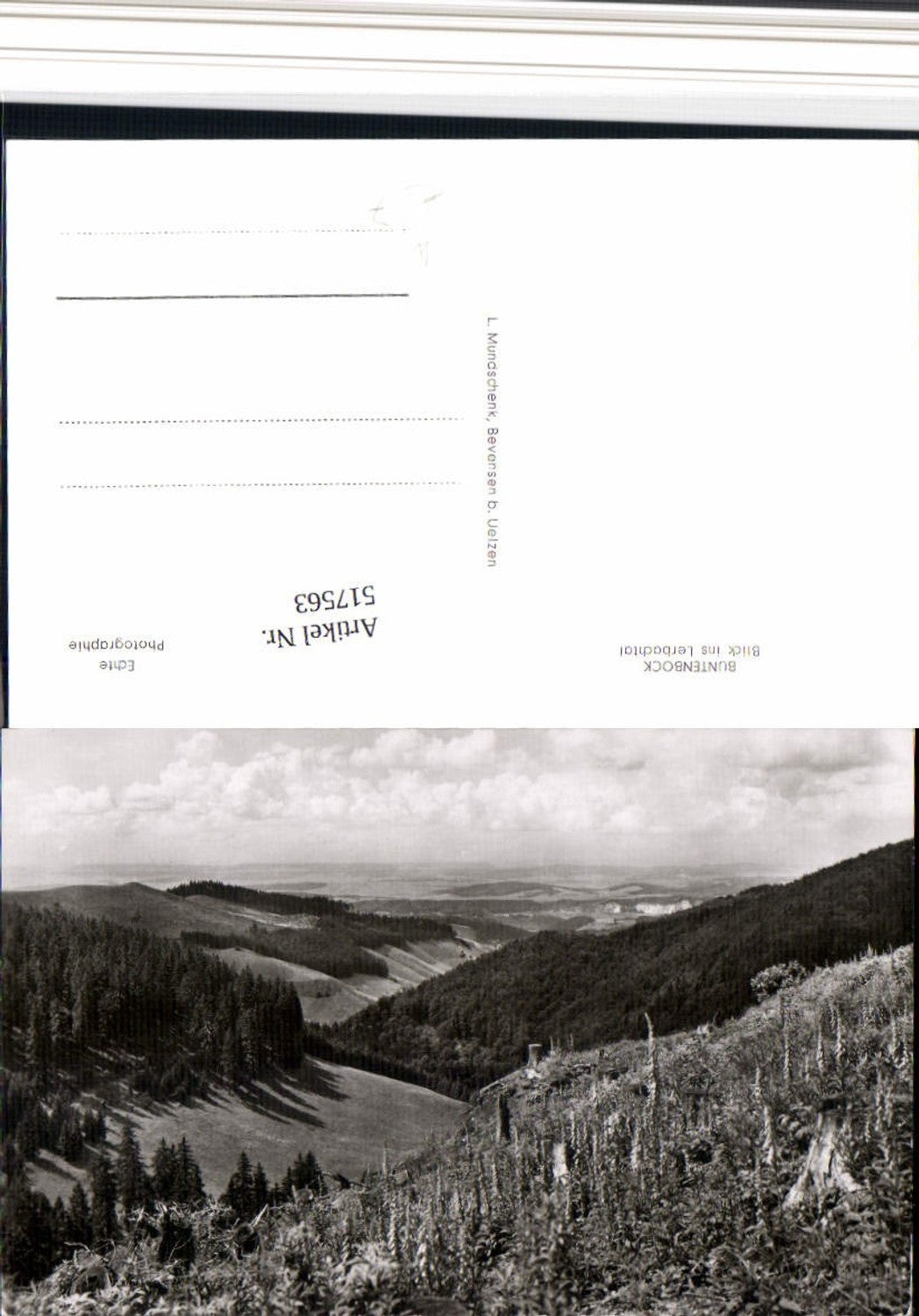 517563,Buntenbock b. Clausthal-Zellerfeld Blick ins Lerbachtal