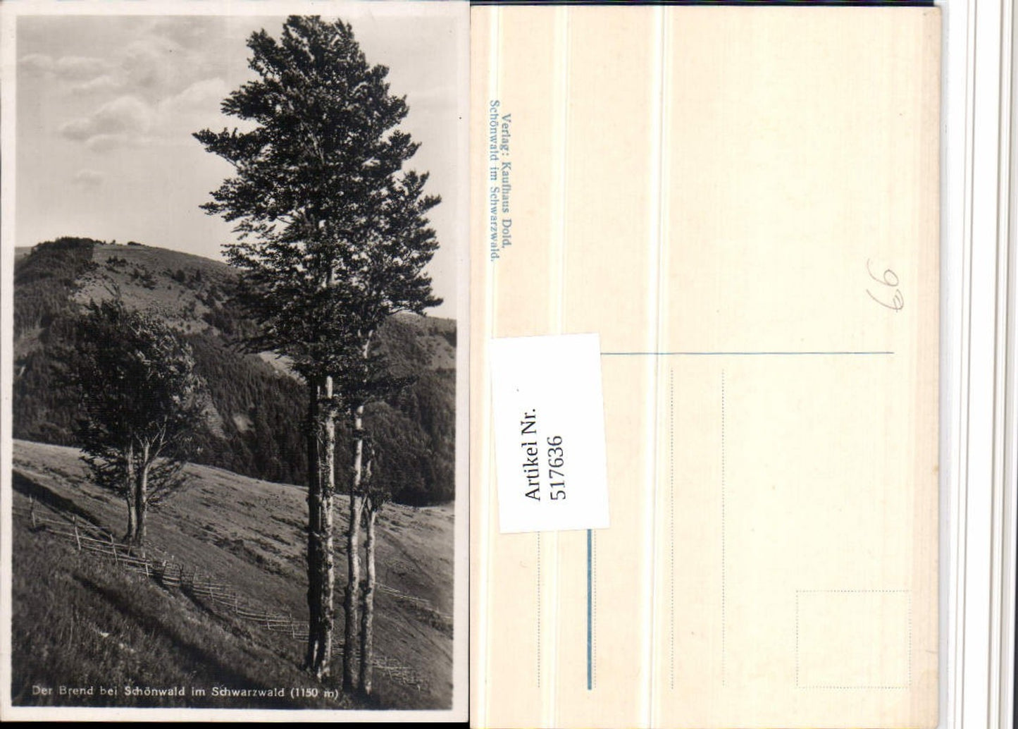 517636,Brend b. Schönwald im Schwarzwald Landschaft