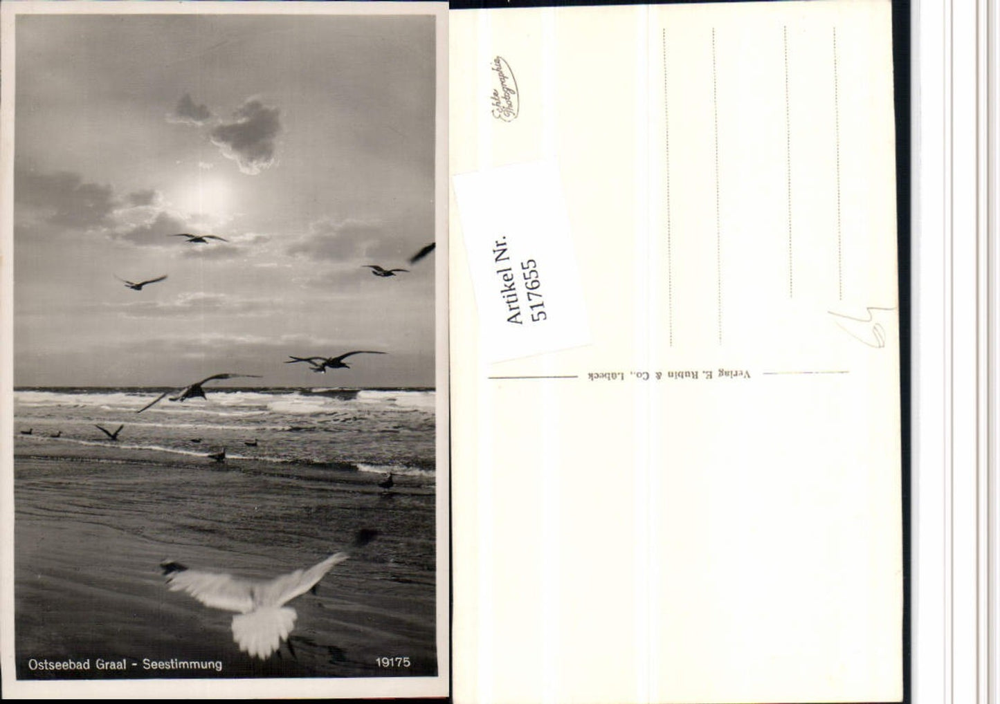517655, Baltic Sea resort Graal-Müritz, seaside atmosphere, seagulls 