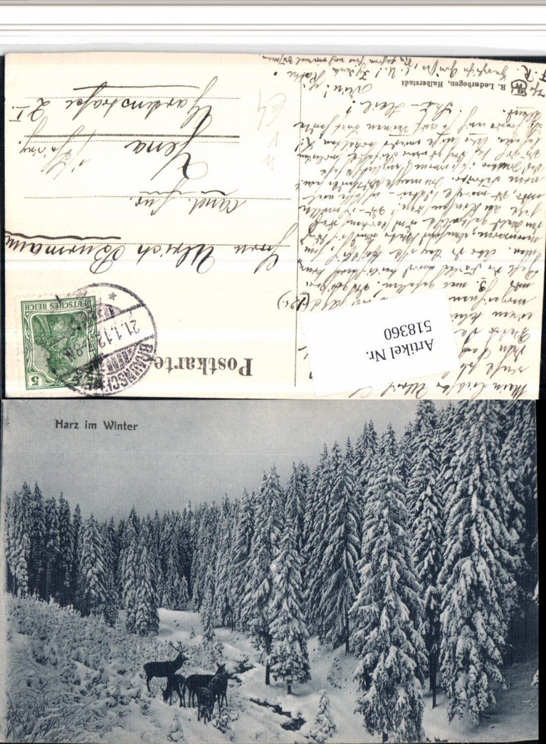 518360,Harz b. Halberstadt Wald Wild Winterbild pub R. Lederbogen