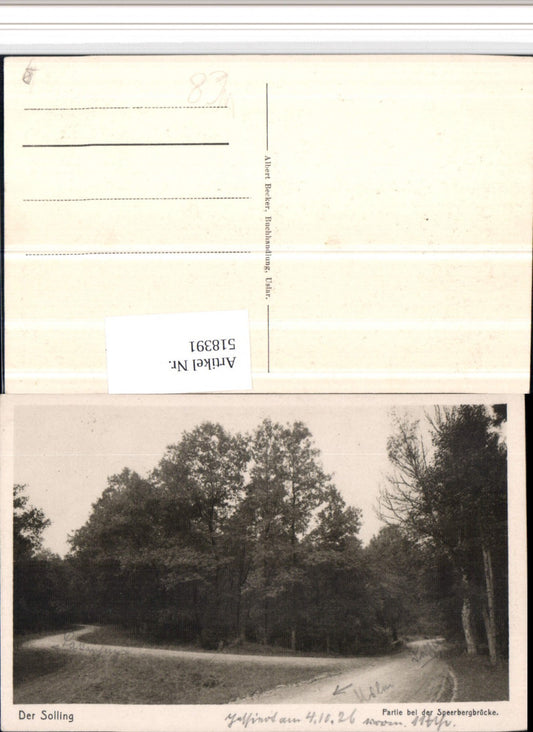 518391,Der Solling Partie bei der Speerberg-Brücke Wegpartie