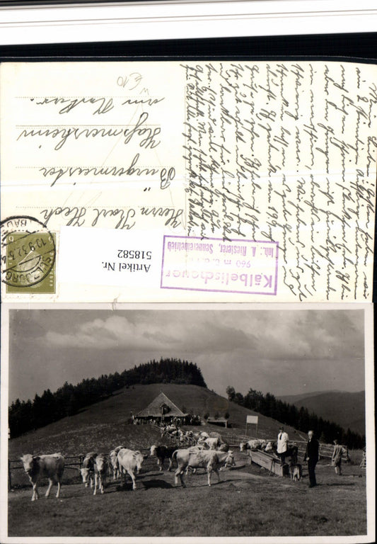 518582, Photo AK Gasthaus Kälbelischeuer Münstertal Schwarzwald Freiburg im Breisgau