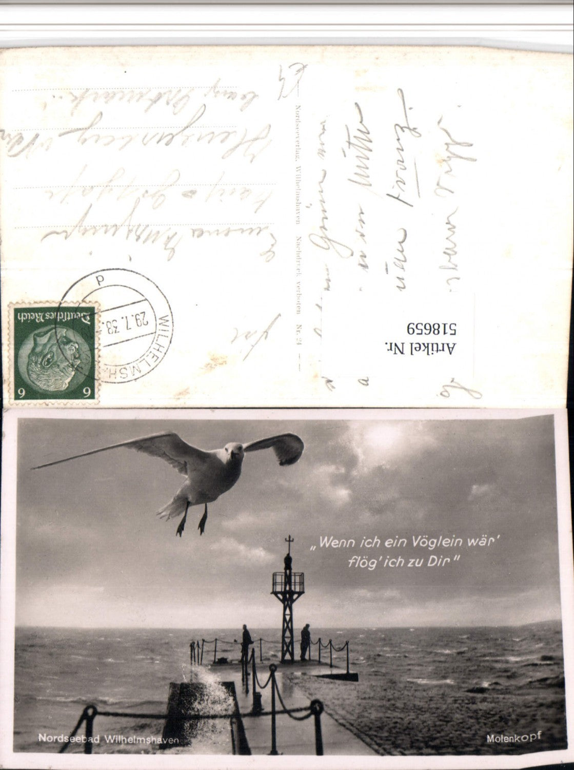 518659,Nordseebad Wilhelmshaven Molenkopf Möwe Vogel