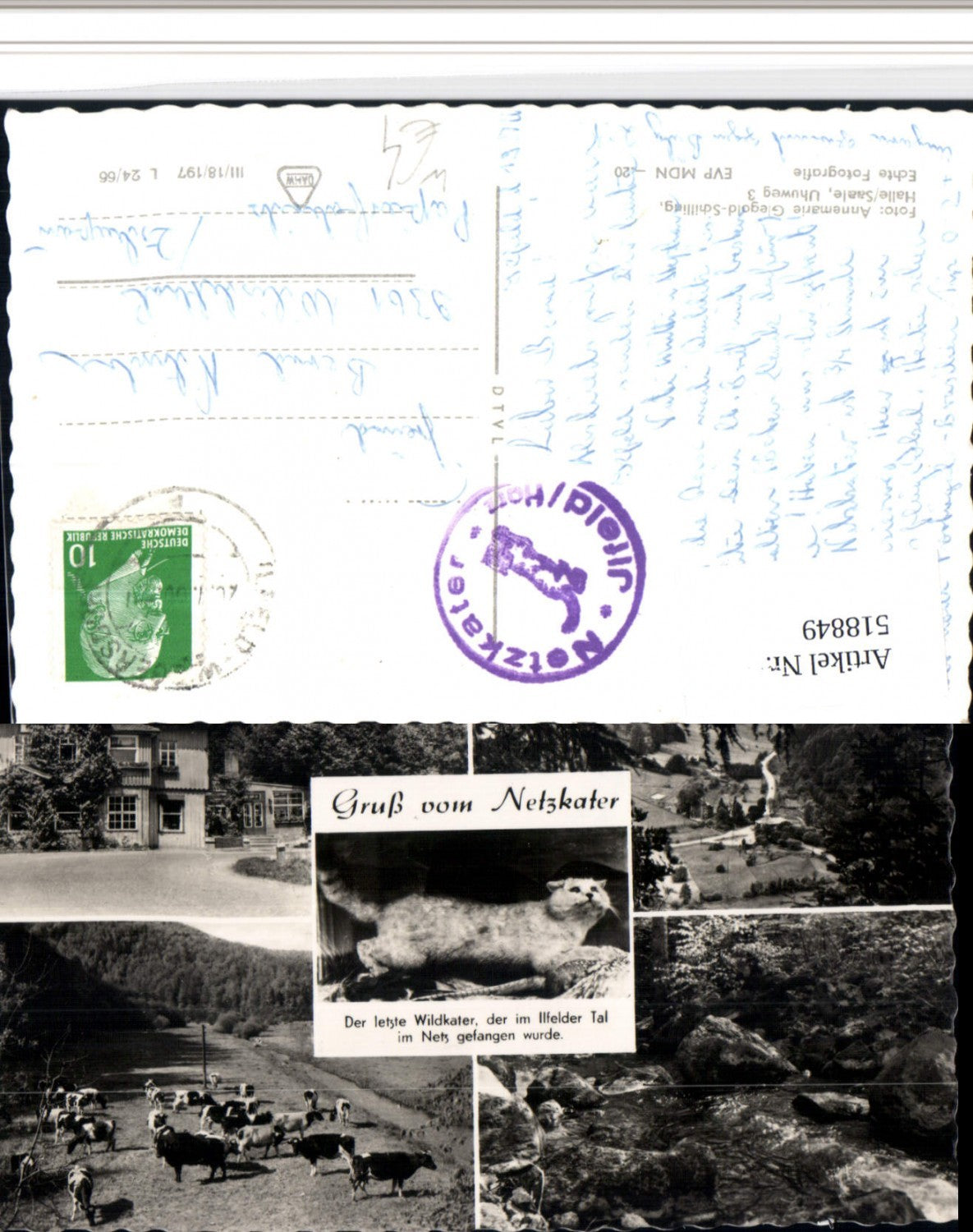 518849, Netzkater near Ilfeld in the Harz Mountains, House, Cattle, Multi-image postcard