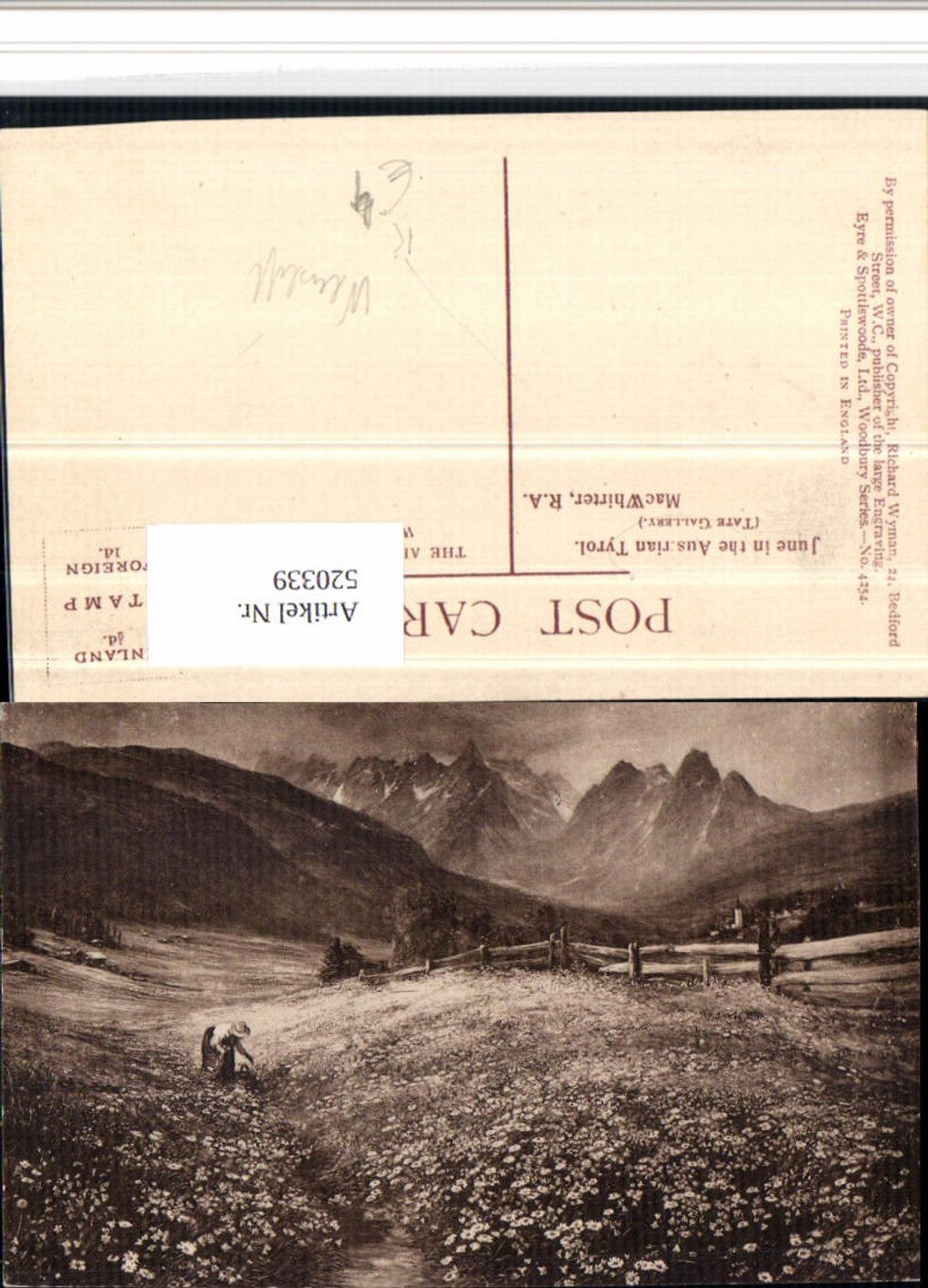 Alte Ansichtskarte – Old Postcard