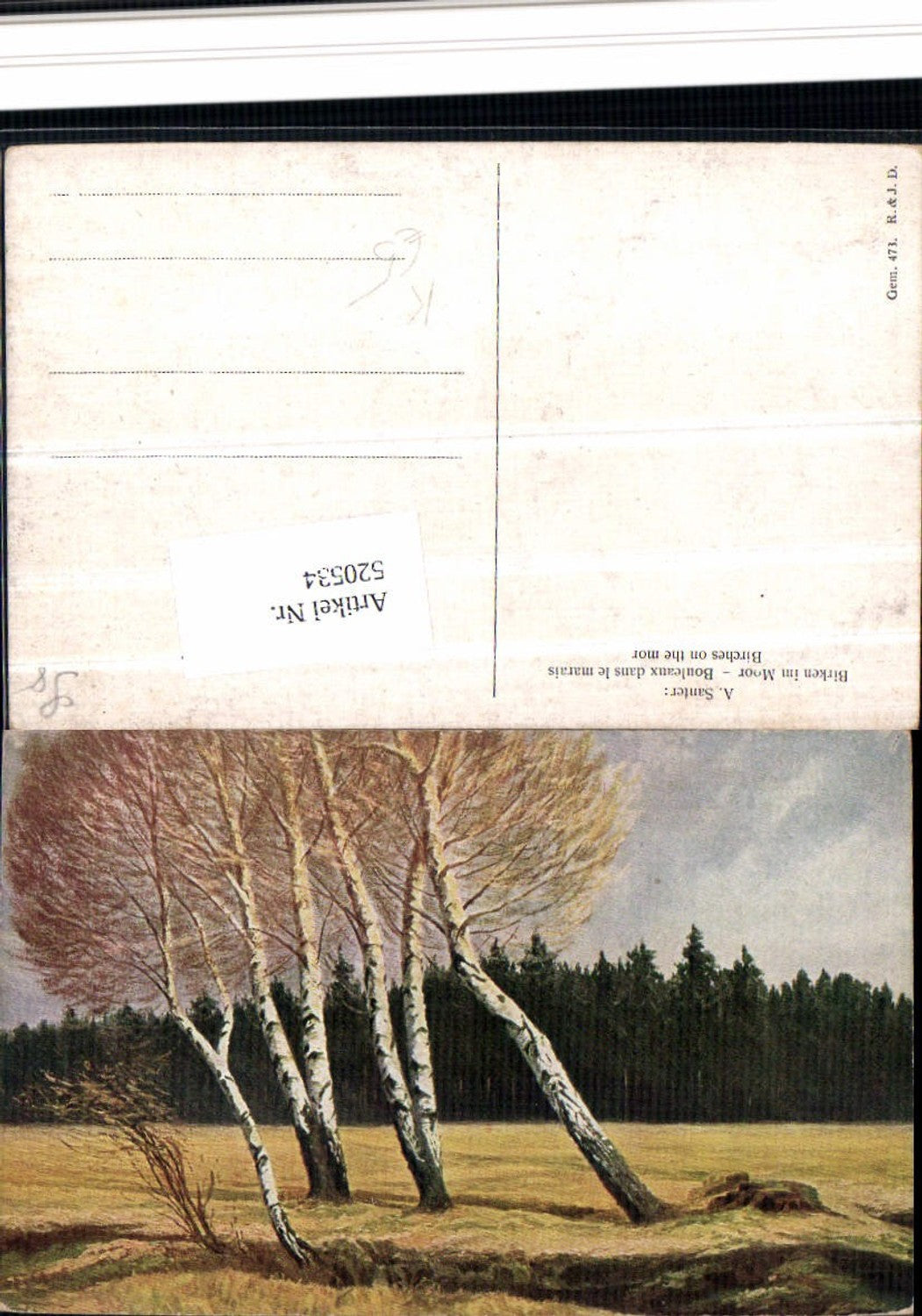520534,Künstler AK A. Santer Birken im Moor Landschaft Bäume