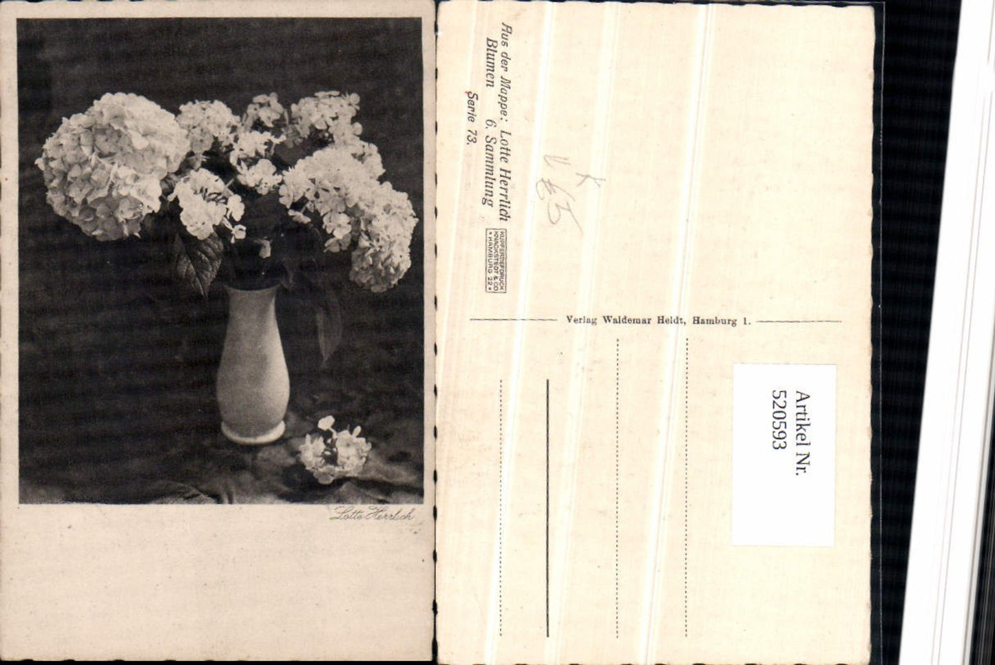 520593,Künstler AK Lotte Herrlich Blumen Vase