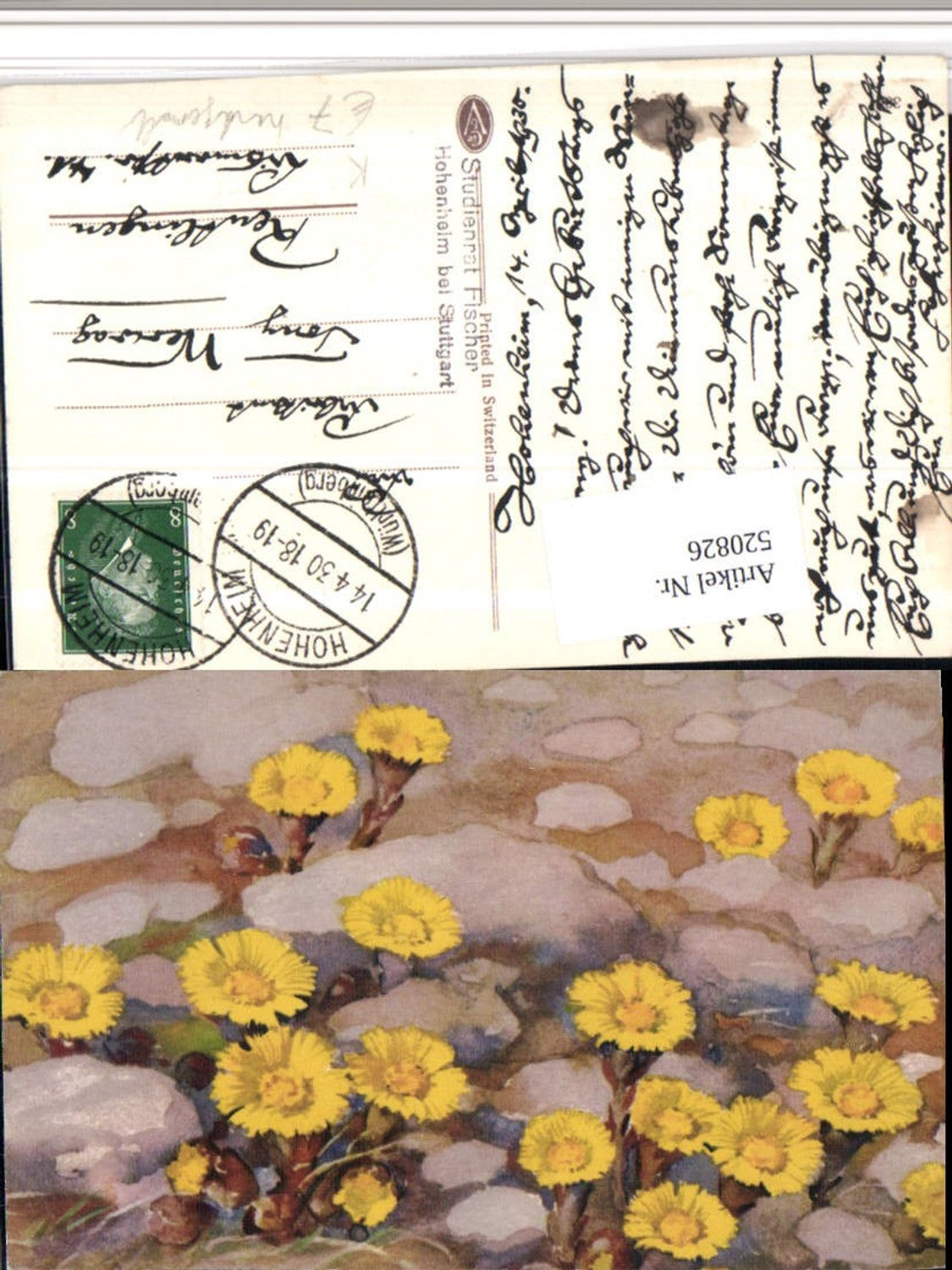 520826, Artist AK Hand-painted Dandelion Flowers
