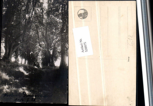 520975,seltene Foto-AK Krobnitz Dittmannsdorf b. Reichenbach LK Görlitz