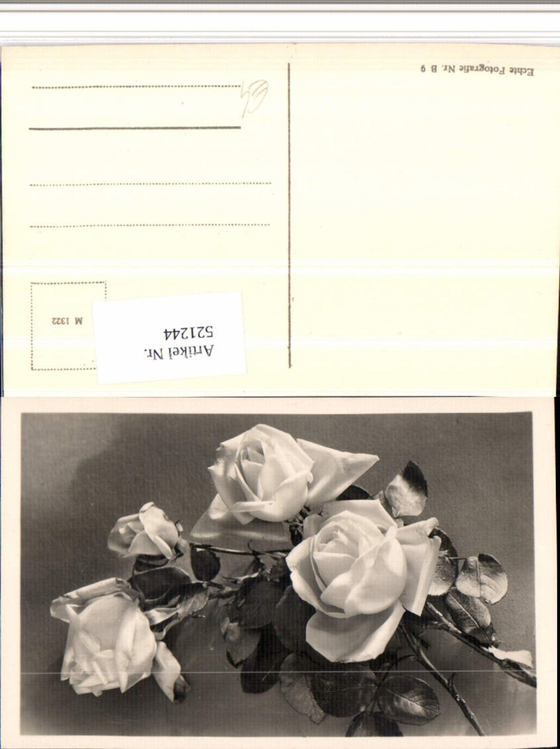 521244,Fotokunst Rosen Blumen