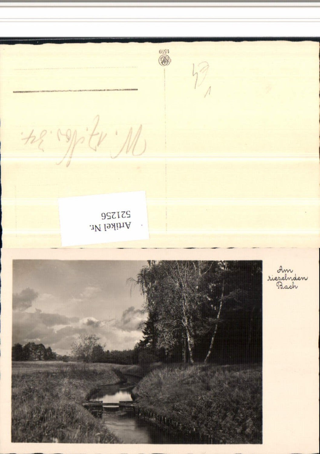 521256,Fotokunst NPG 1559 Am rieselnden Bach Landschaft