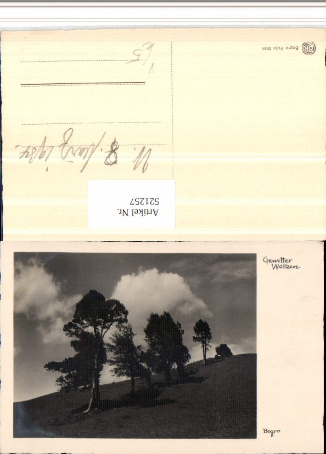 521257,Fotokunst Begro 9184 Gewitterwolken Landschaft Bäume