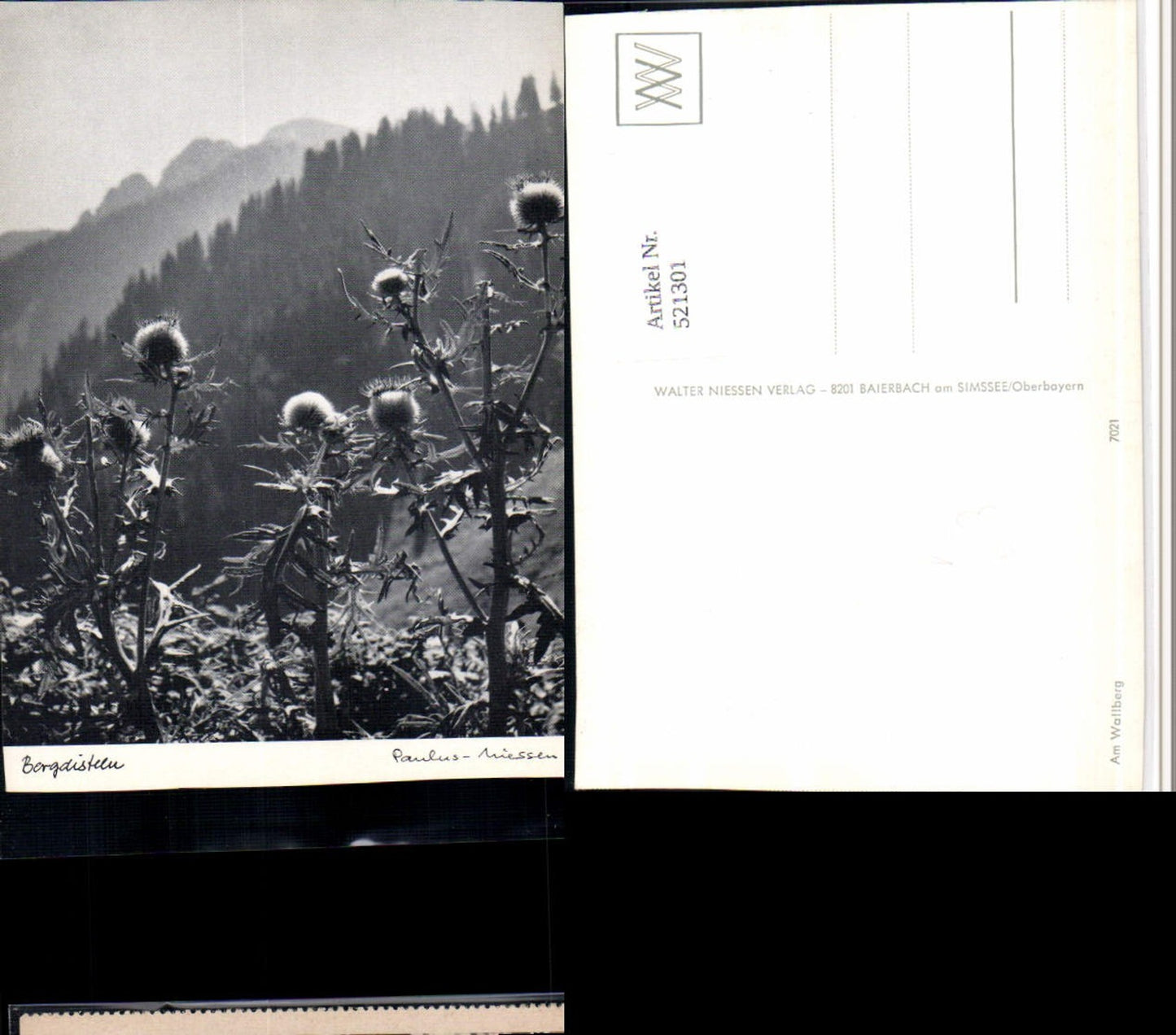 521301,Fotokunst Paulus Niessen Wam Wallberg Bergdisteln pub Walter Niessen 7021