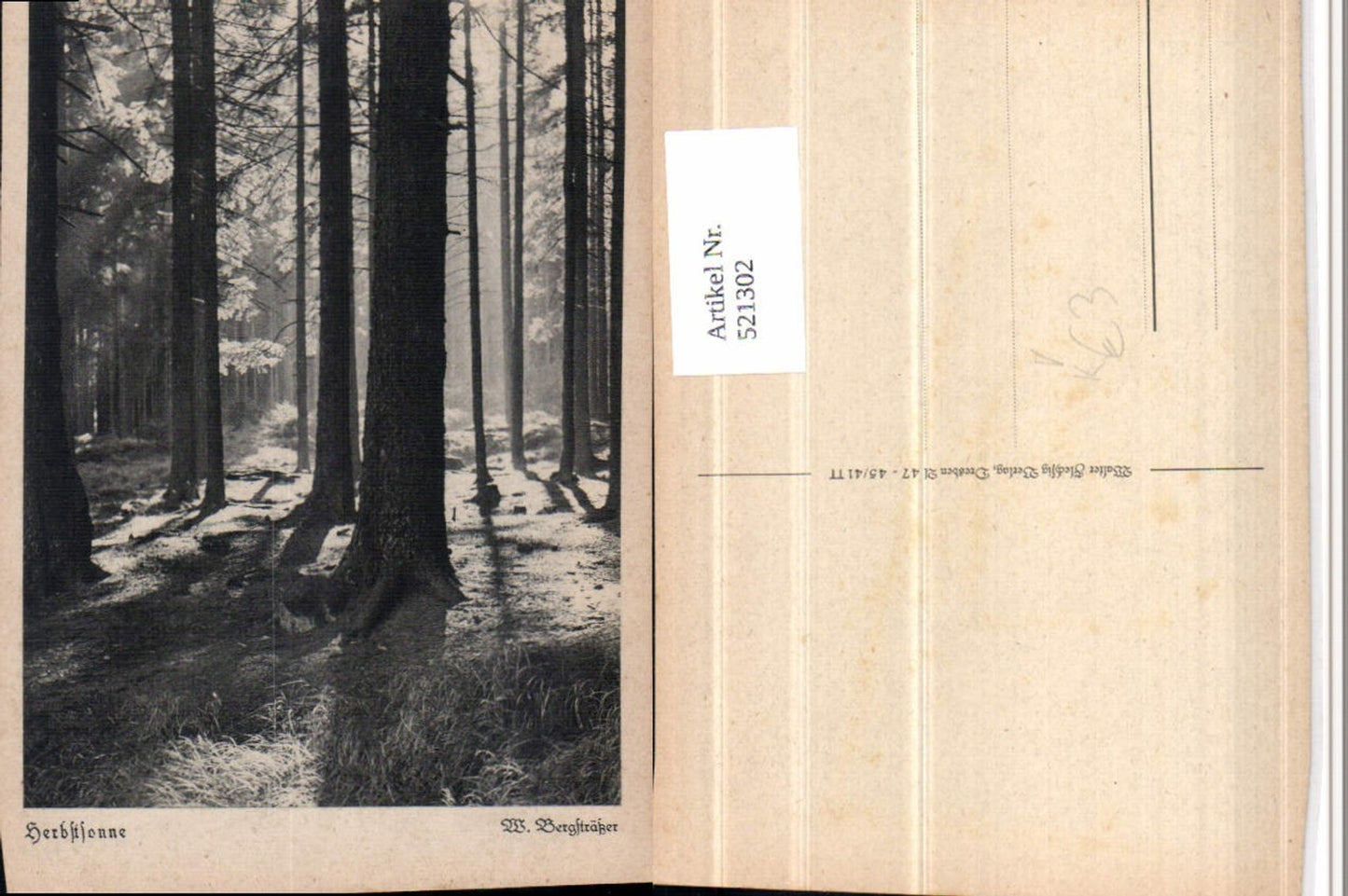 521302,Fotokunst W. Bergsträßer Herbstsonne Wald pub Walter Flechsig Dresden