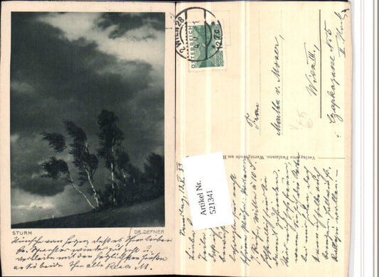 521341,Photographic Art Dr. Defner Storm Landscape Trees