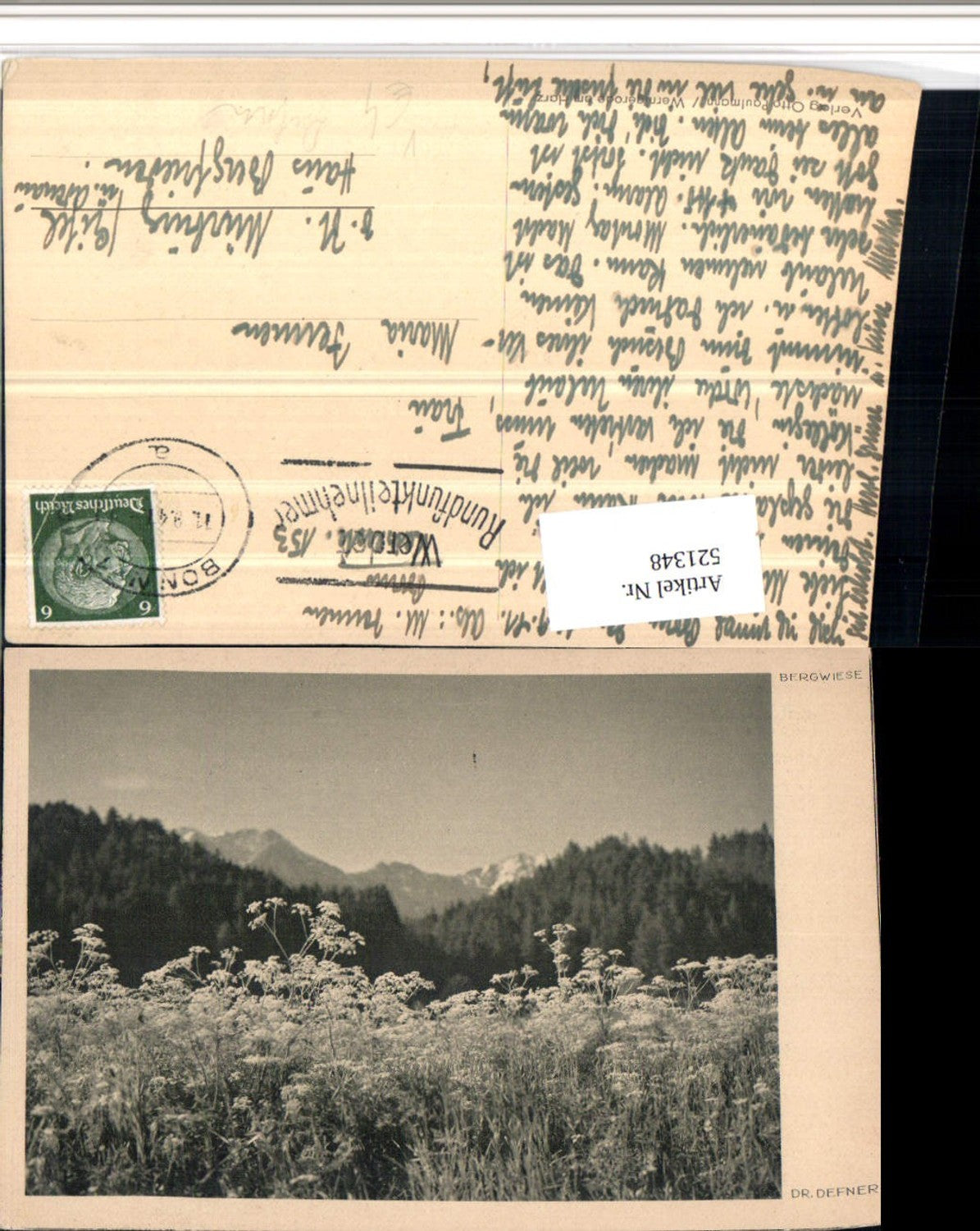 521348,Fotokunst Dr. Defner Bergwiese Landschaft