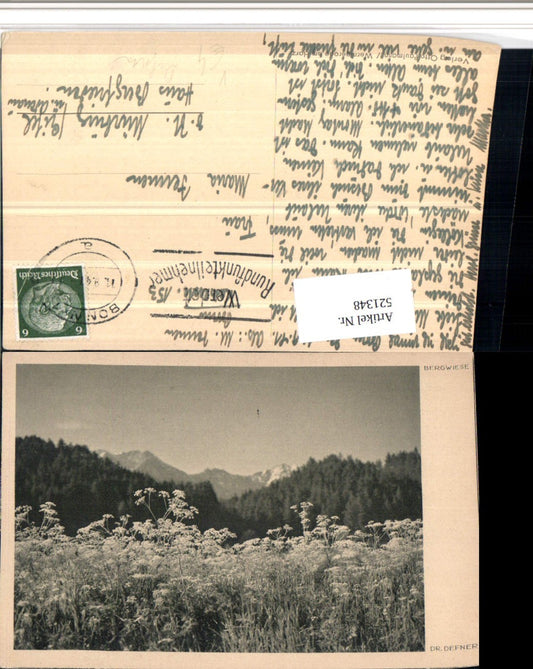 521348,Fotokunst Dr. Defner Bergwiese Landschaft