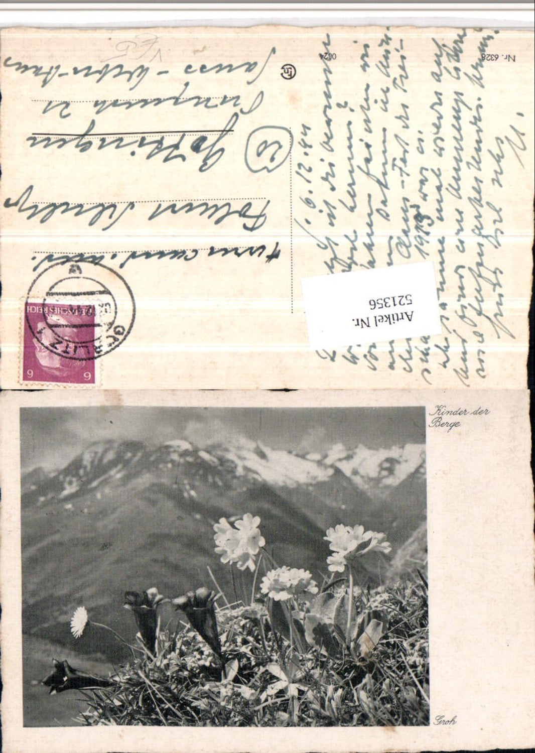 521356,Fotokunst Groh 6328 Kinder der Berge Blumen Bergkulisse