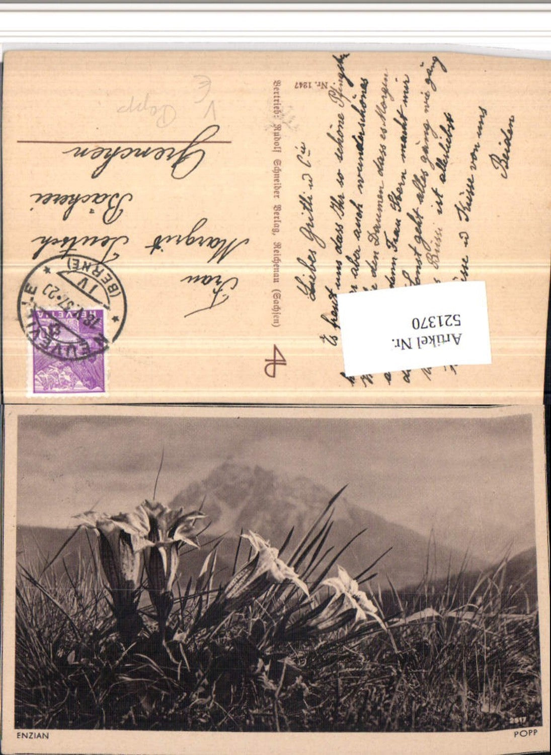 521370,Popp Verlag 1247 Enzian Blumen Wiese