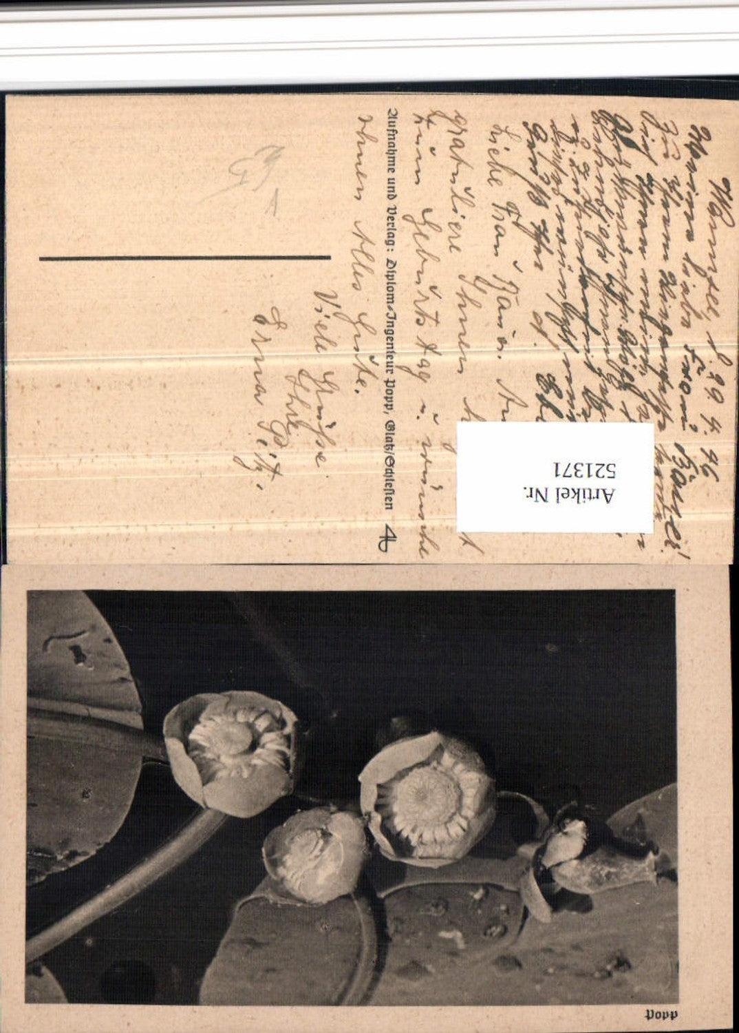 521371,Popp Verlag Seerosen Blumen