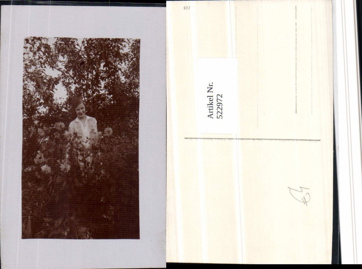 522972,Foto-AK Frau im Garten Primeln Blumen