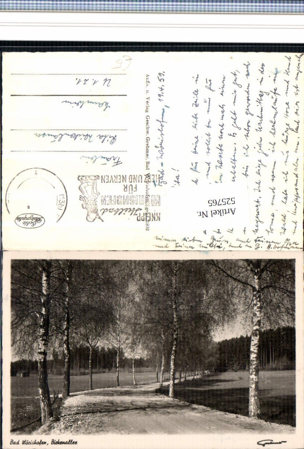 525765,Foto-AK Bad Wörishofen Birkenallee Allee Birken Bäume