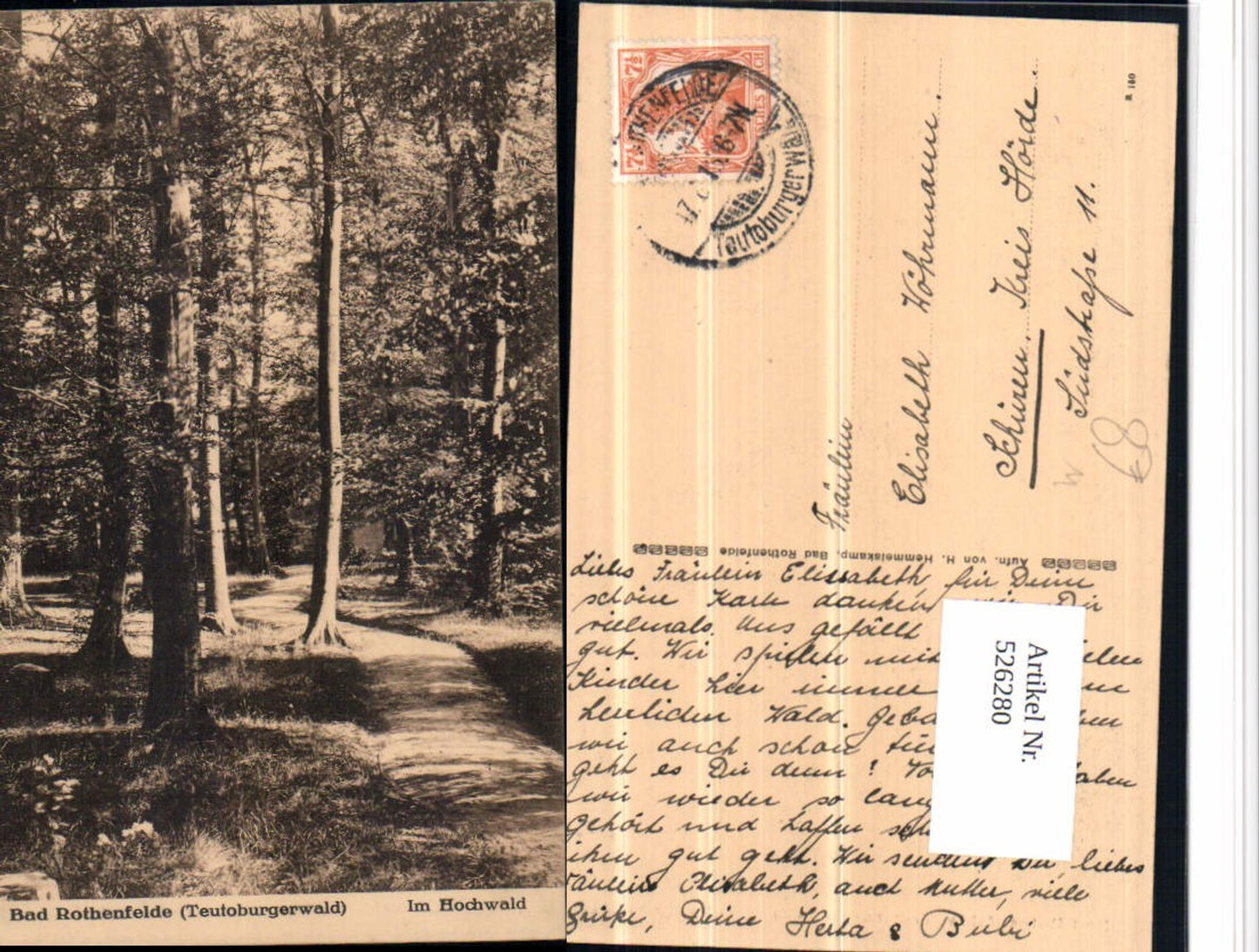 526280,Bad Rothenfelde Teutoburgerwald Hochwald Detmold