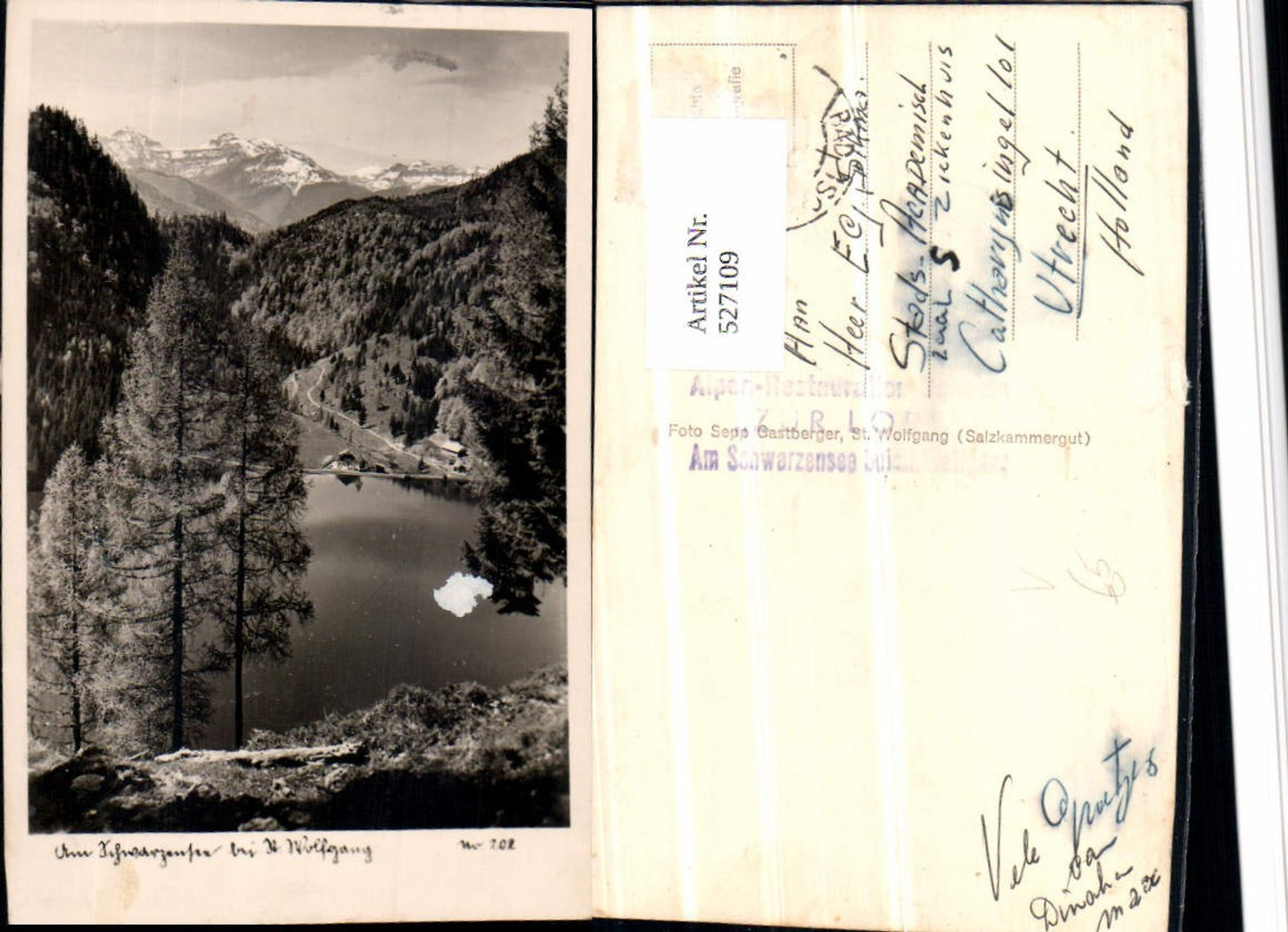 527109,Foto-AK Schwarzsee bei St. Wolfgang am Wolfgangsee pub Gastberger 202