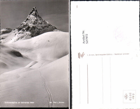 527972,Schönfeldspitze bei Zell am See