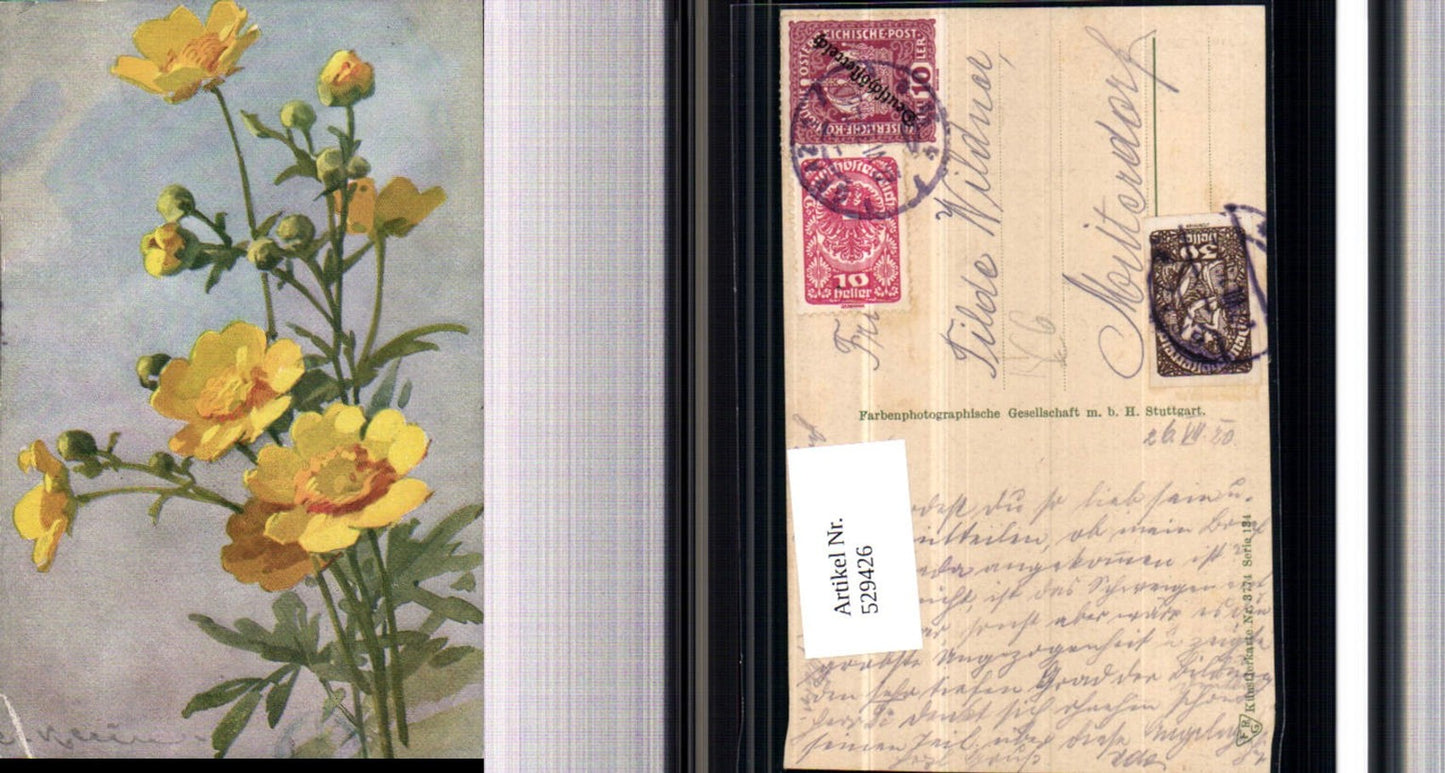 529426, Artist AK Catharina Klein Flowers pub F PH G 134-3774
