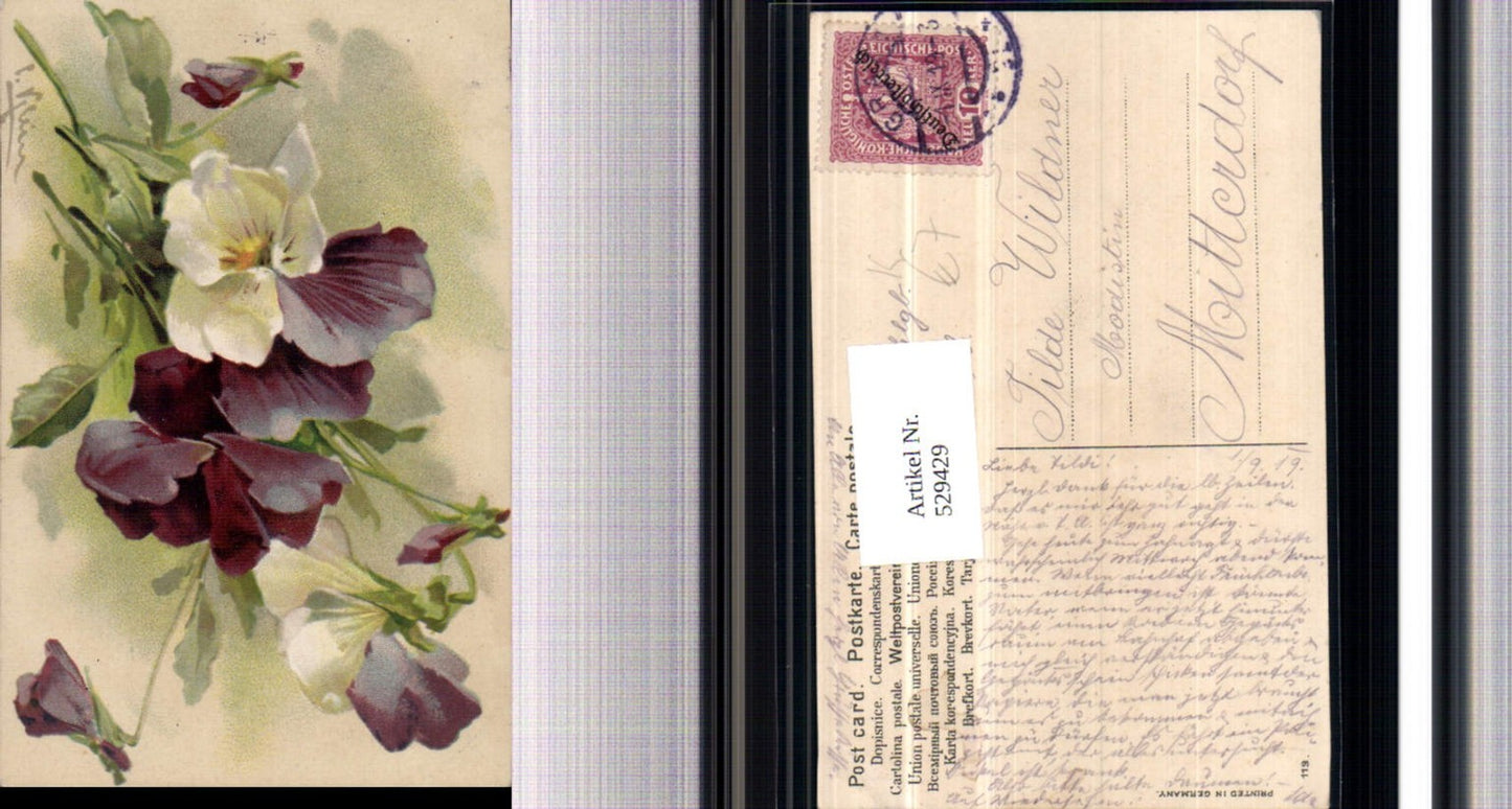 529429,Künstler AK Catharina Klein Vergissmeinnicht Blumen