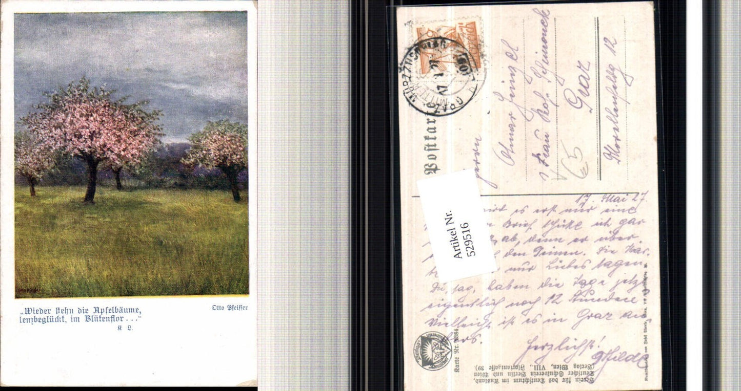529516, German School Association 1384 Otto Pfeiffer Railway Post Office 309 Graz Mürzzuschlag