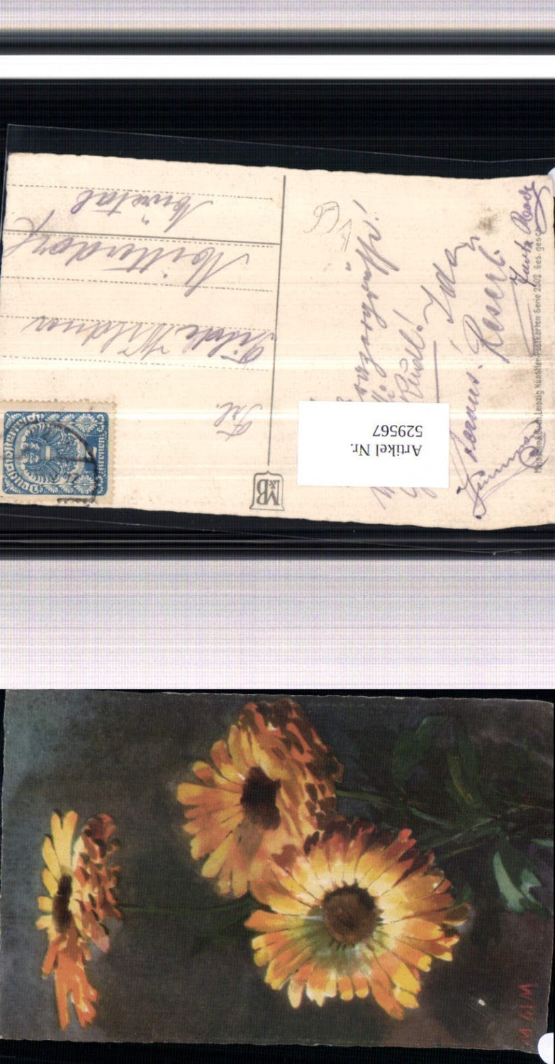 529567,Meissner & Buch 2502 Blumen Sonnenblumen