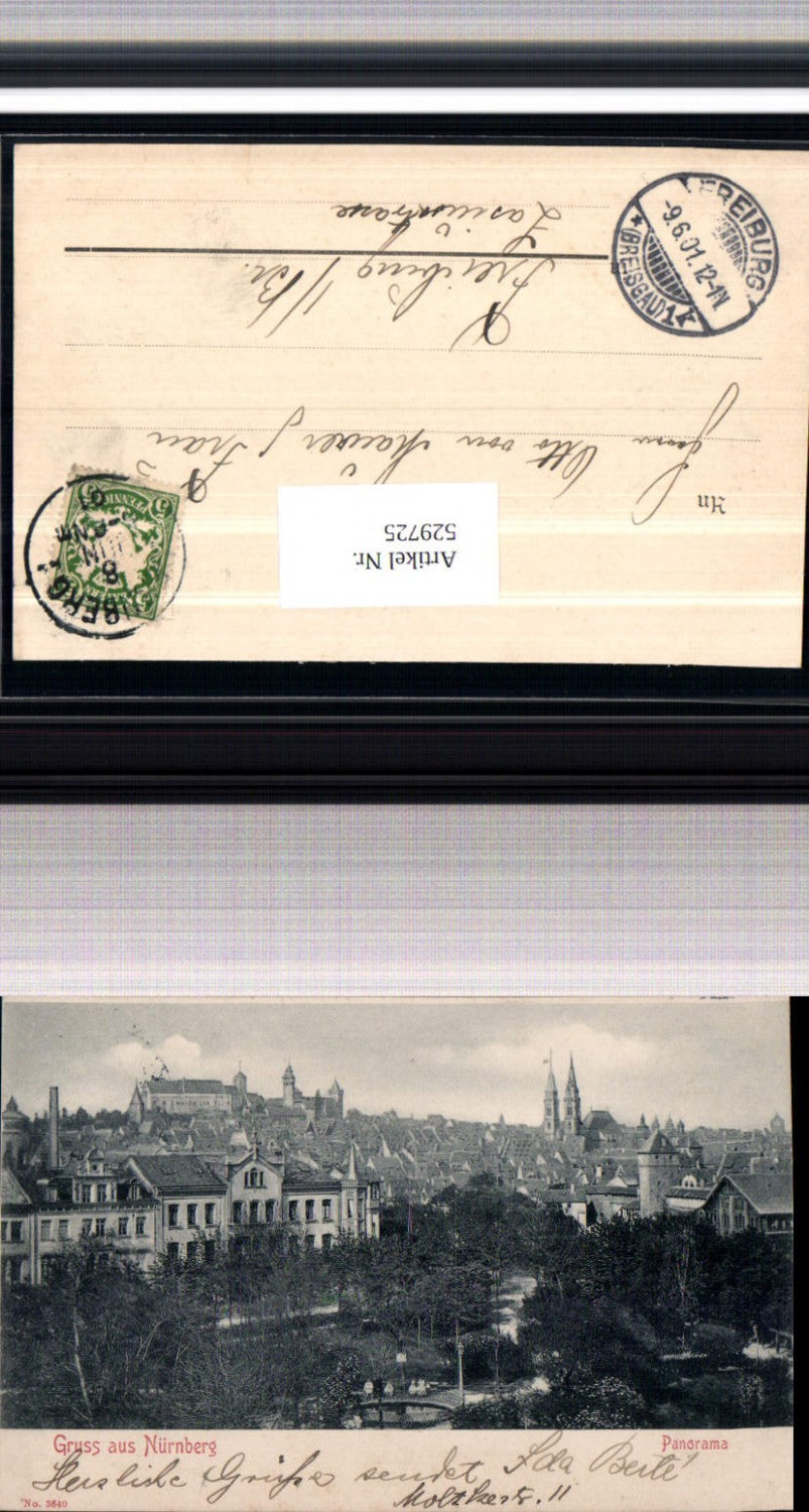 529725,Gruss aus Nürnberg Panorama um 1905