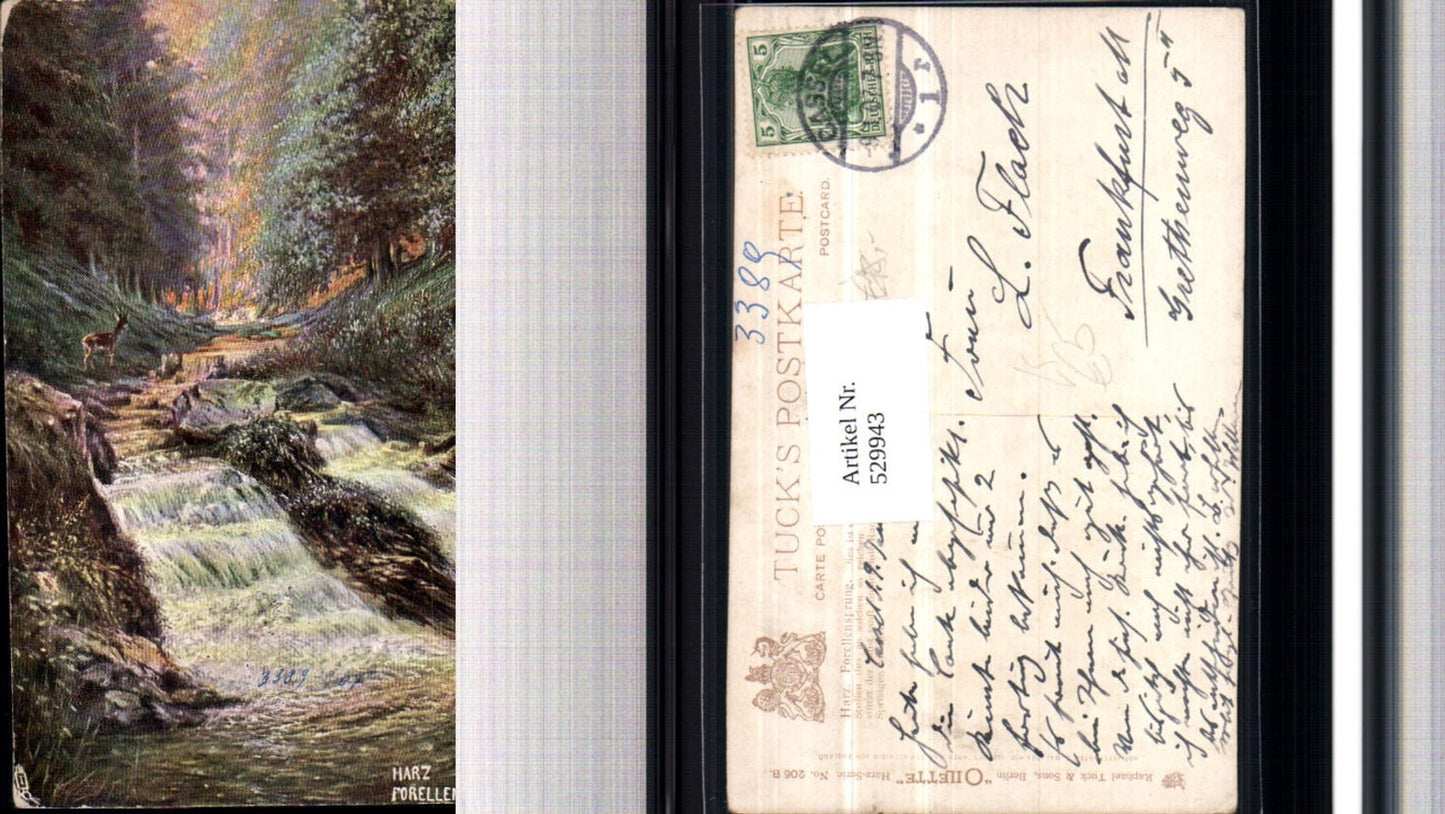 529943,Künstler AK Harz Forellensprung b. Bad Harzburg pub Tuck Oilette 206 B