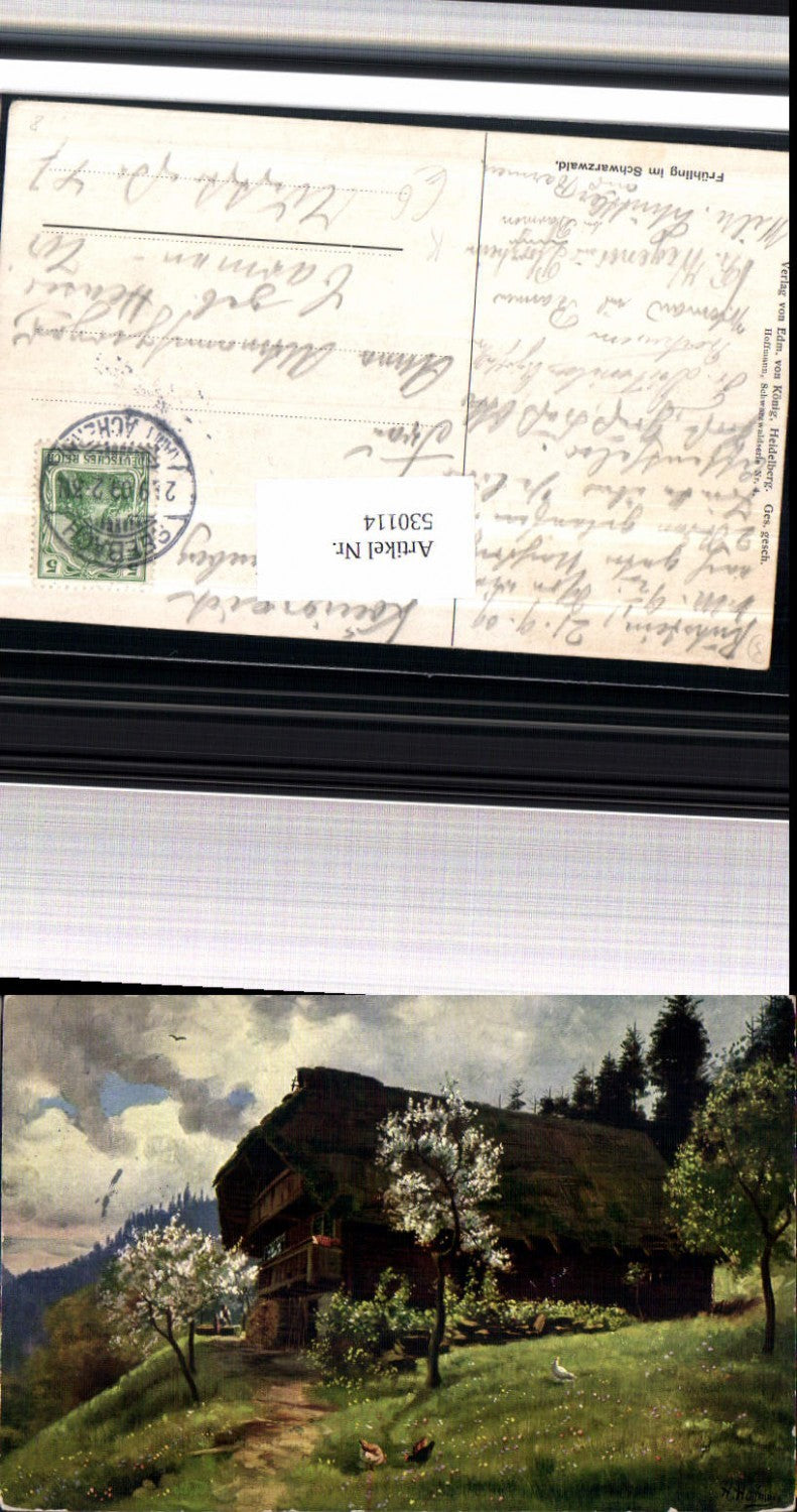 530114,Künstler AK Heinrich Hoffmann Frühling im Schwarzwald Schwarzaldhaus
