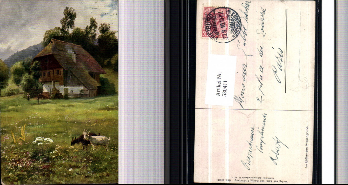 530411,Künstler AK Heinrich Hoffmann Schwarzwald Schwarzwaldhaus Ziegen