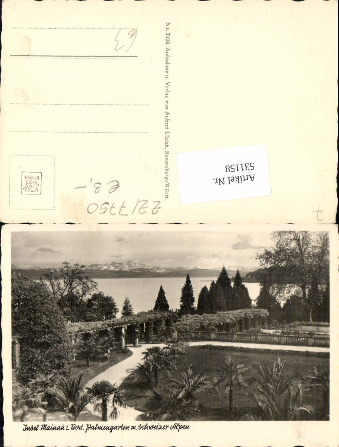 531158,Foto-AK Insel Mainau im Bodensee Konstanz Palmengarten
