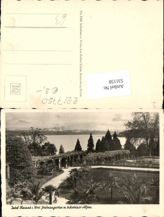 531158, Photo-AK Mainau Island in Lake Constance Constance Palm Garden