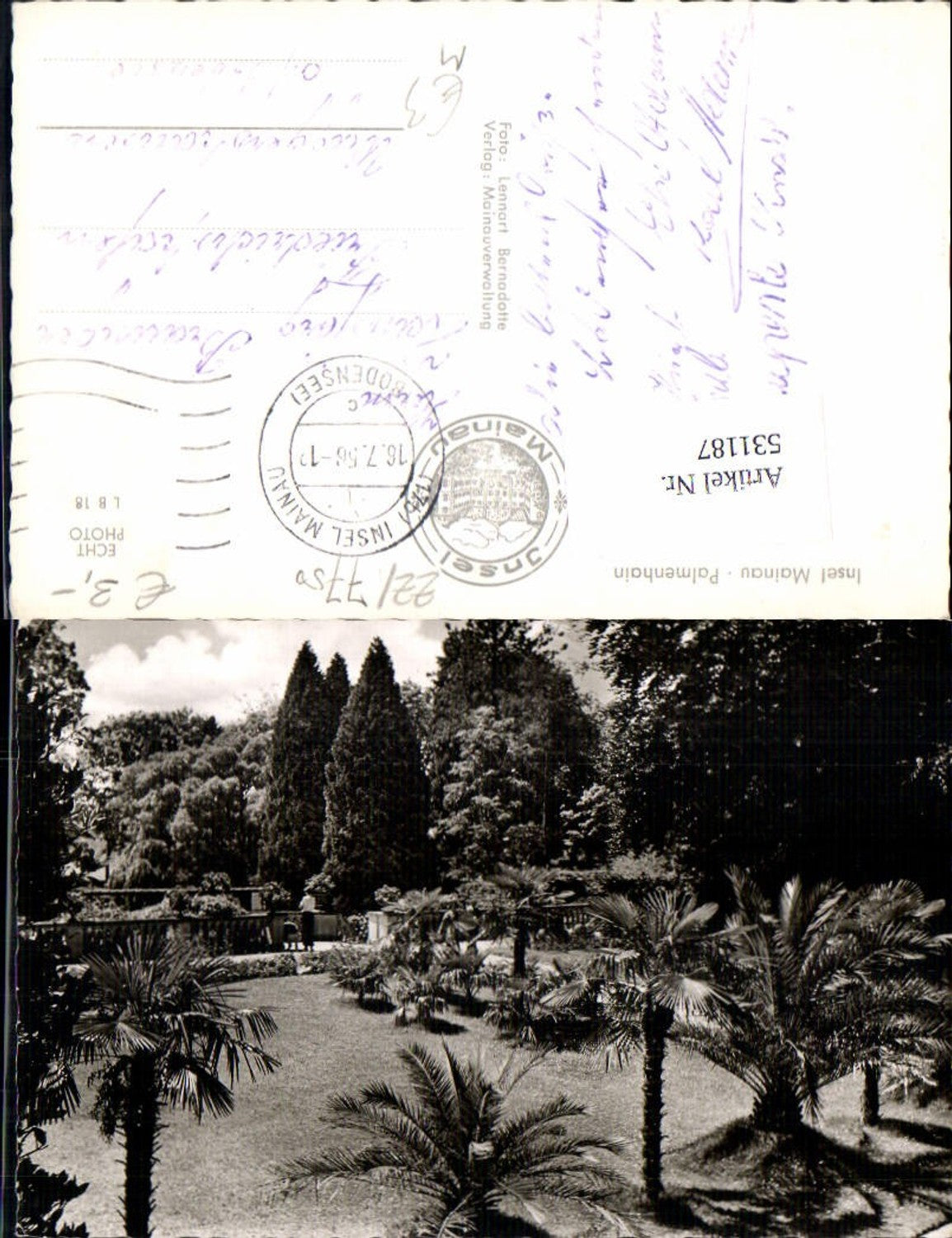 531187,Insel Mainau im Bodensee Konstanz Palmen garten