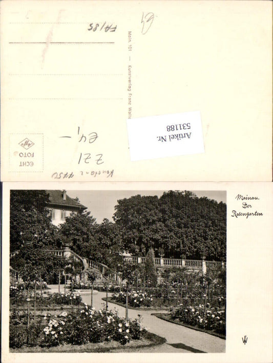 531188, Mainau Island in Lake Constance, Constance, Rose Garden